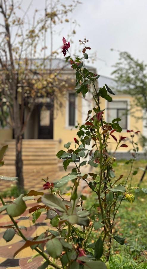 Emirest Villa غابالا المظهر الخارجي الصورة